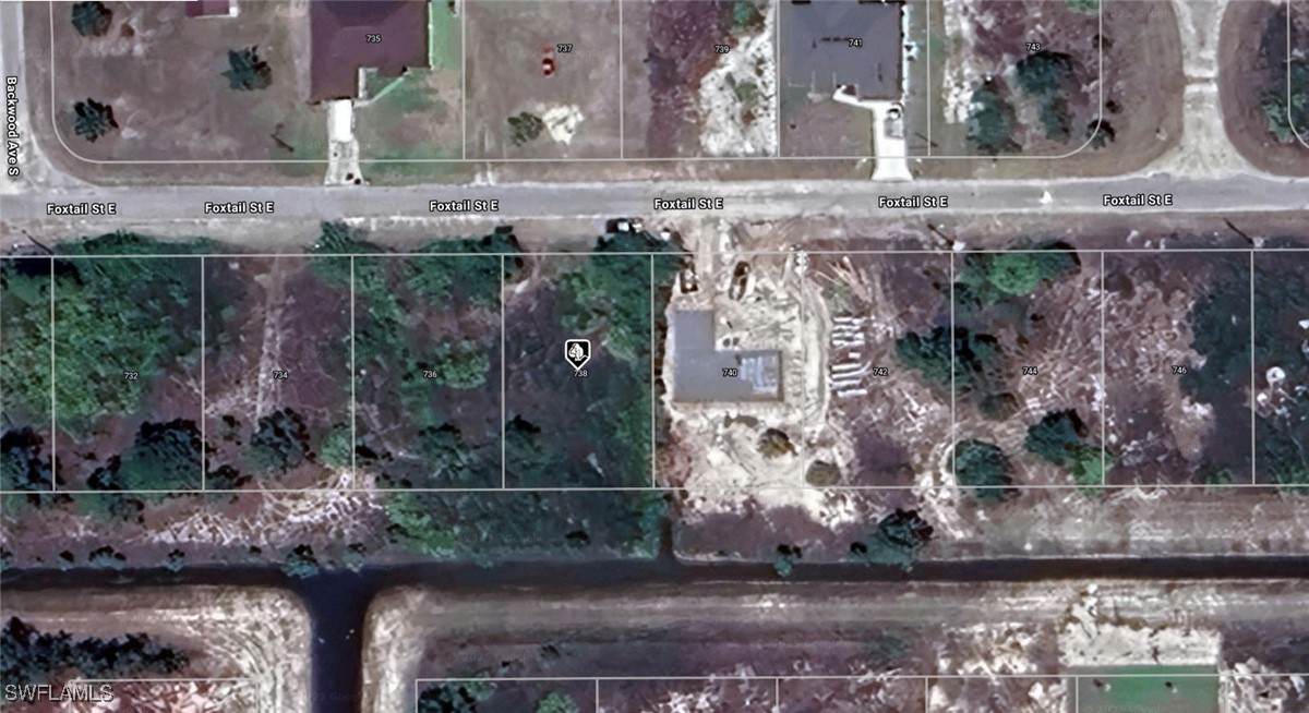 738 Foxtail Street - Photo 1