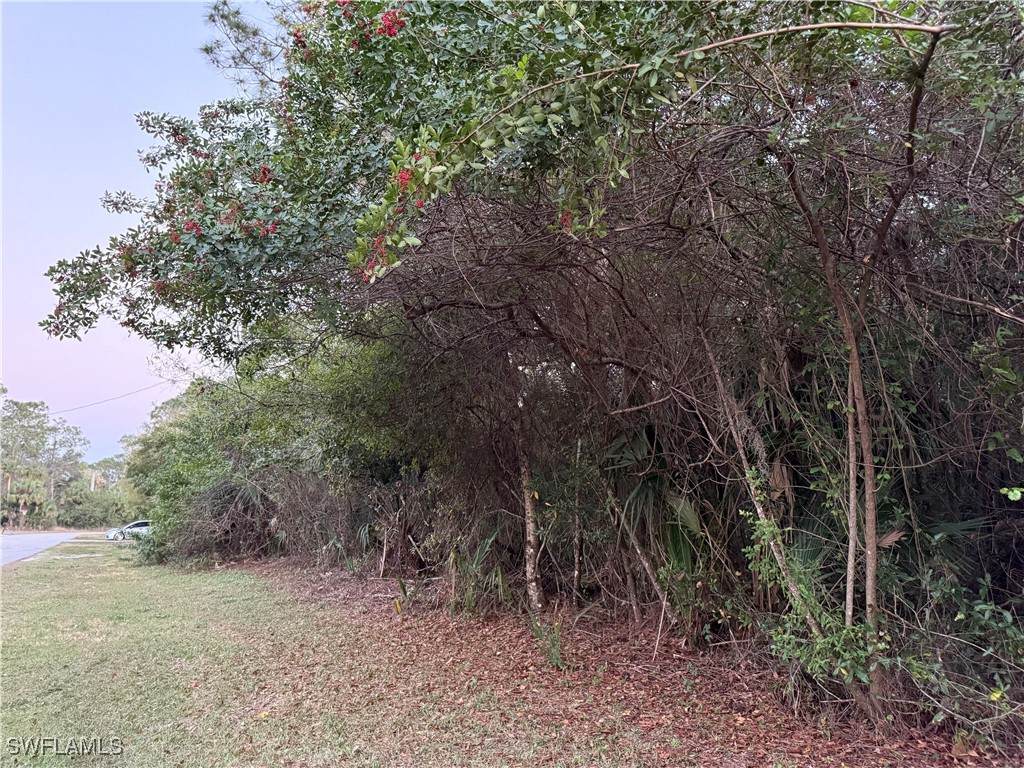 8044 Windswept Circle - Photo 1