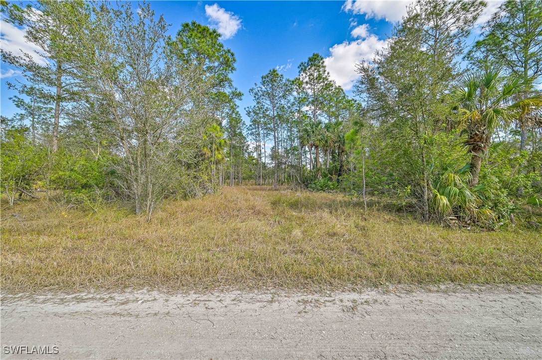 916 Michael Avenue - Photo 1