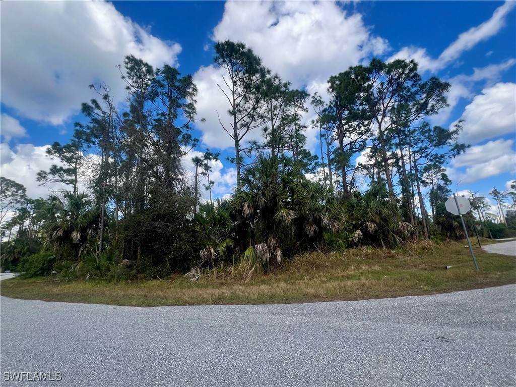 Halacka Road - Photo 1