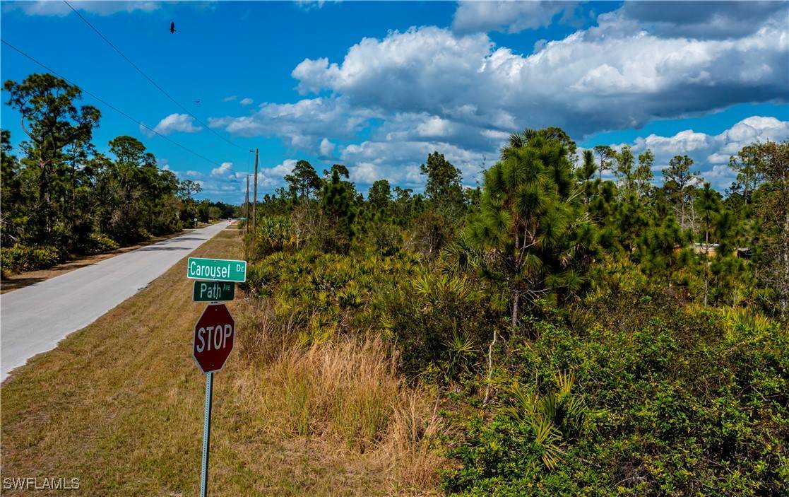 13534 Carousel Drive - Photo 1