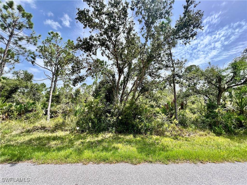 13377 Johannes Avenue - Photo 1