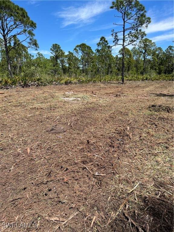 12230 Minnesota Avenue - Photo 1