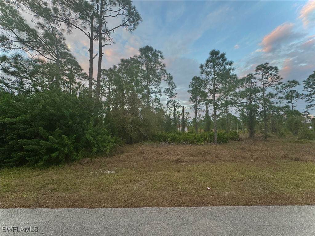 937 Alcalde Street - Photo 1