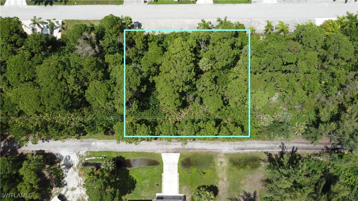 3582 Snow Bird Lane - Photo 1