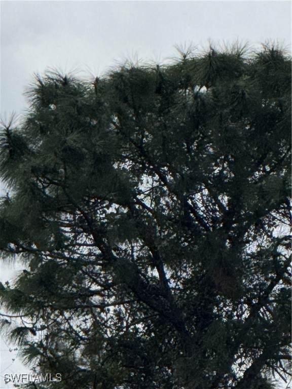 4621 6th Street - Photo 1