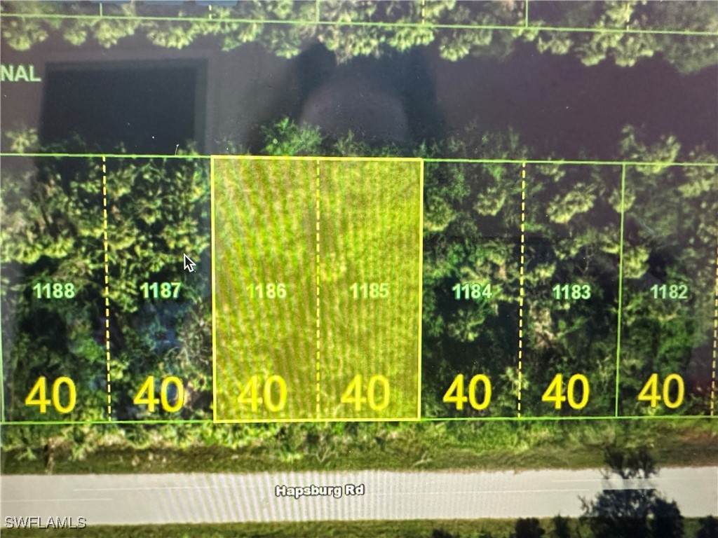 26092 Hapsburg Road - Photo 1