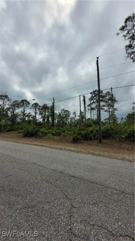 1003 Louis Avenue - Photo 1