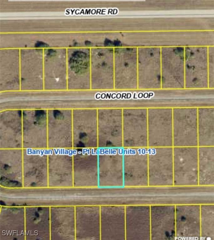 181 Concord Loop - Photo 1