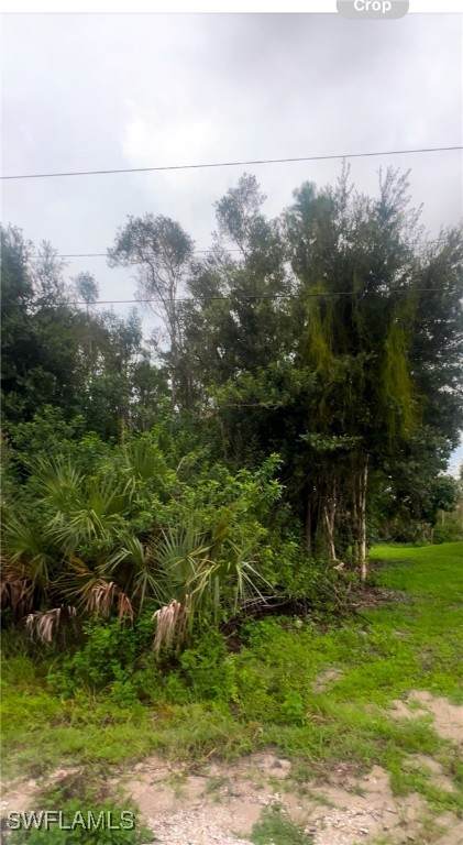 712 Crestline Avenue - Photo 1