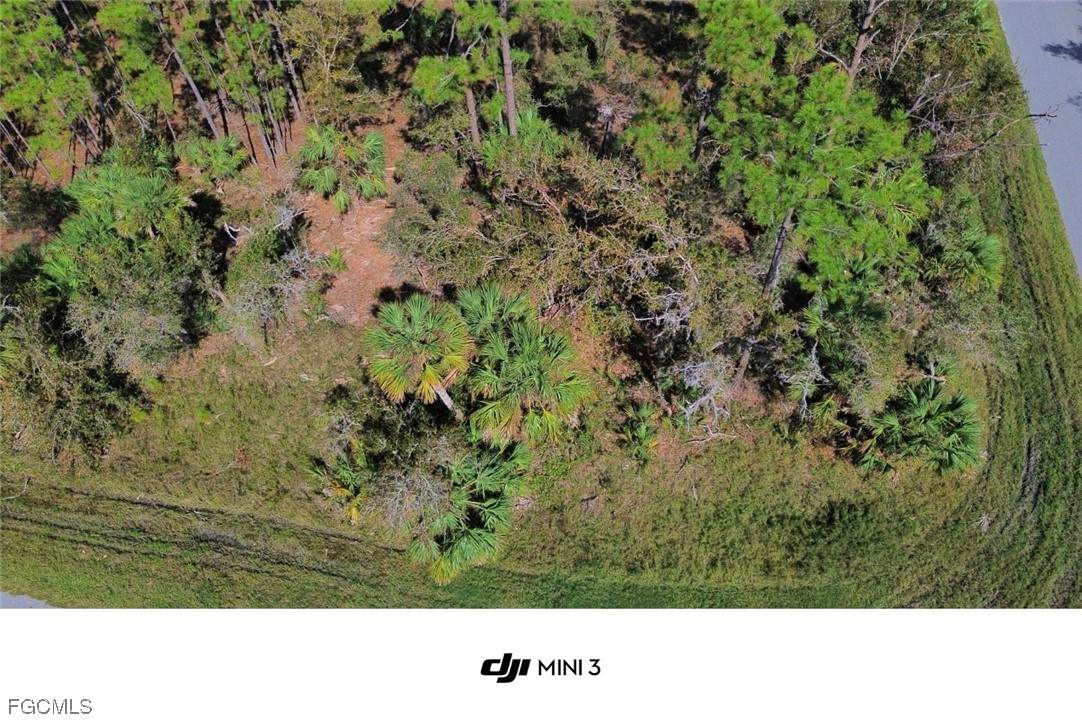 411 & 421 Lindon Street - Photo 1