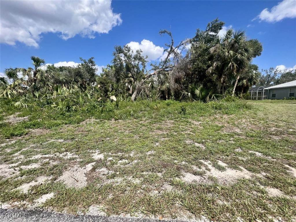  Lot 23, Nashville Rd - Photo 1