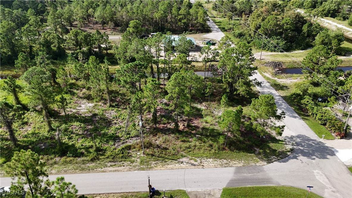 710 Almelia Street - Photo 1