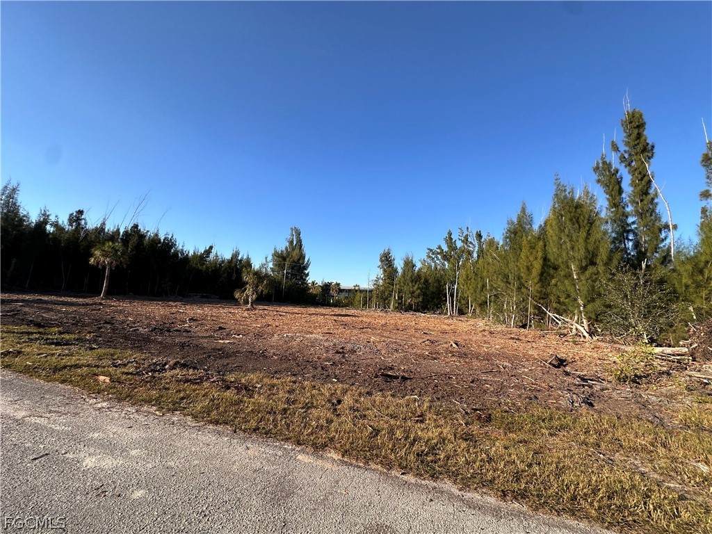 3488 Mango Street - Photo 1