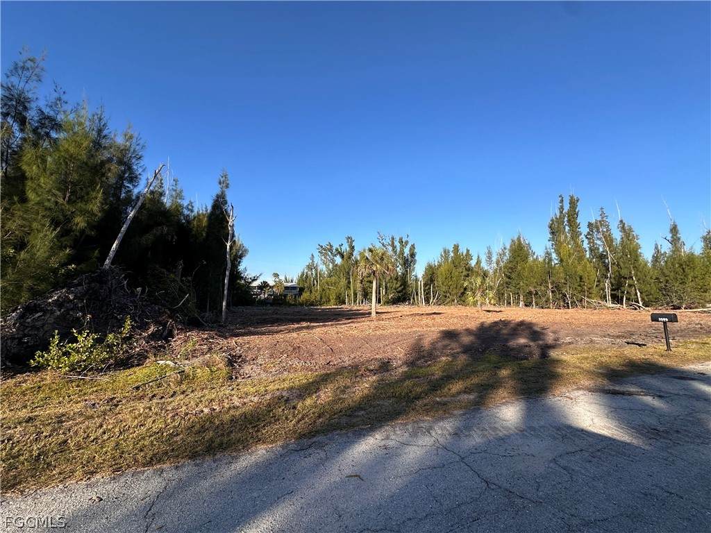3504 Mango Street - Photo 1