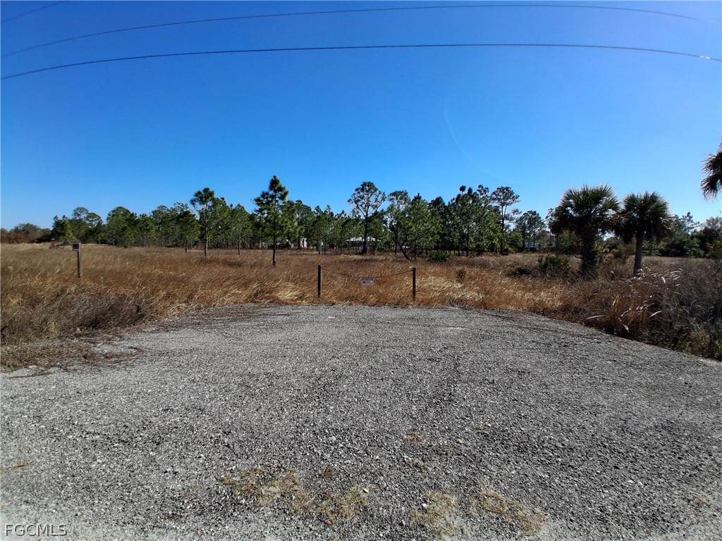 335 Utopia Street - Photo 1