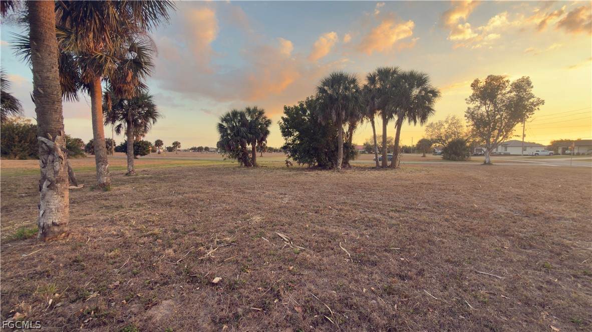 16270 Cape Horn Boulevard - Photo 1