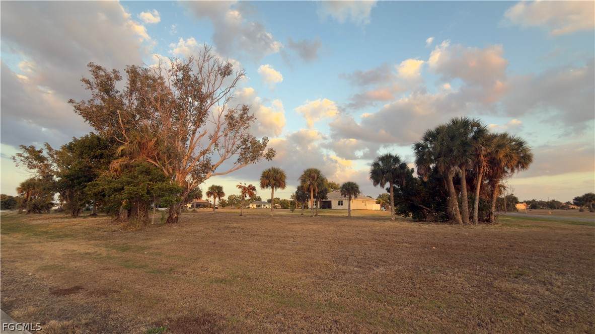 24482 Julian Court - Photo 1