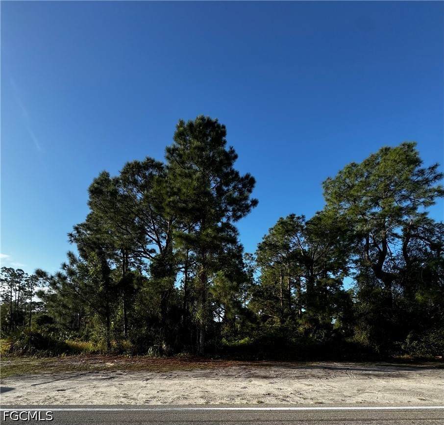 1013/1015 12th Street - Photo 1