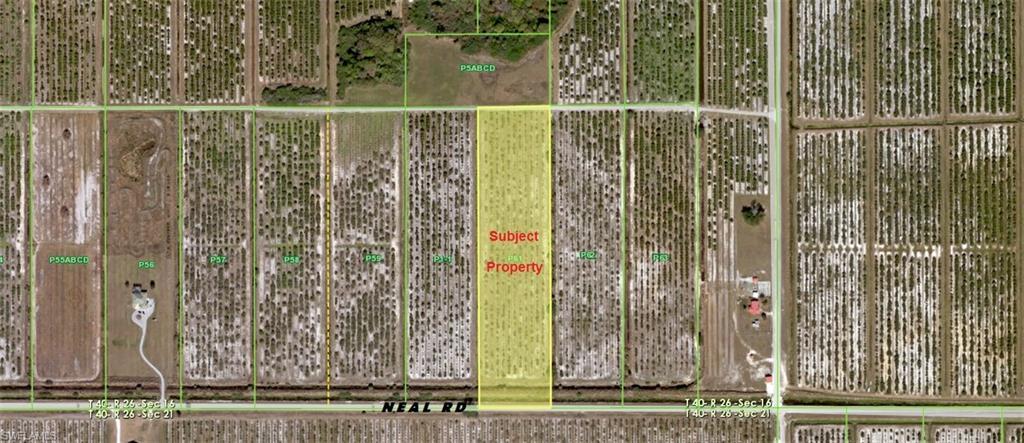 44800 Neal Rd - Photo 1