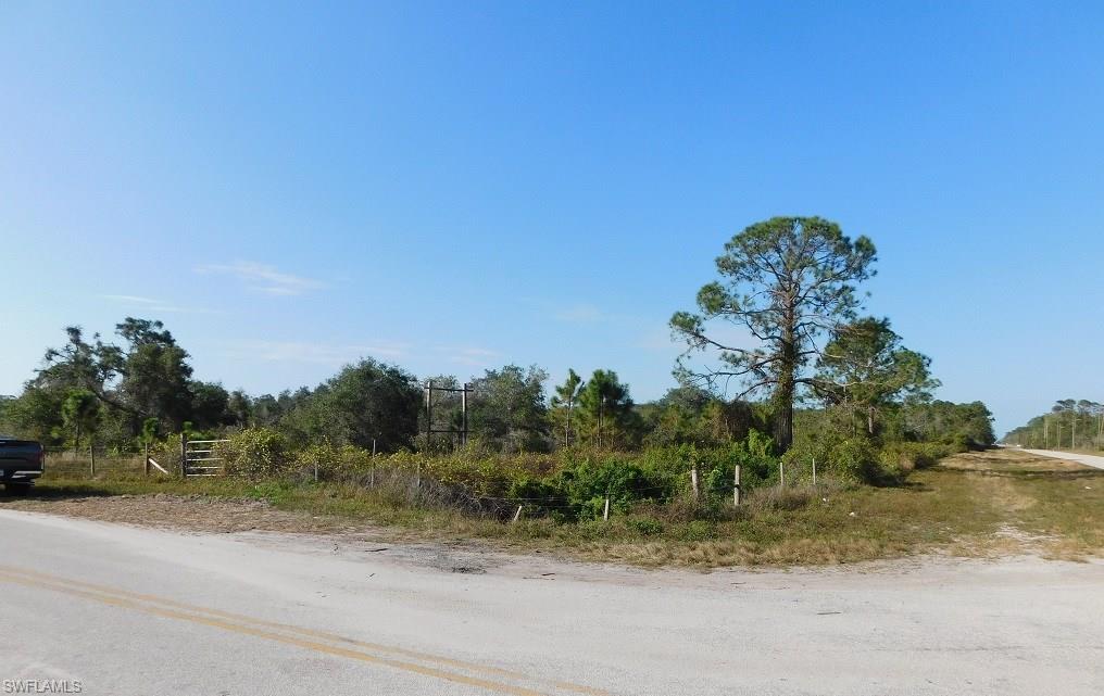 Loblolly Bay Rd - Photo 1