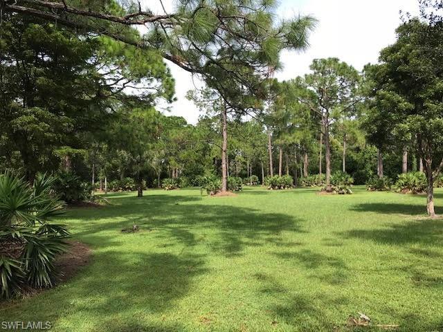 17090 Shady Grove Ln - Photo 1