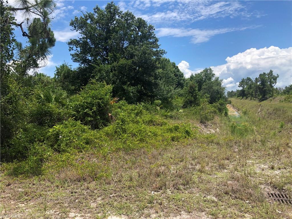 1031 Maxwell Ave - Photo 1