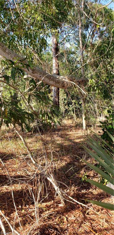 5500 Stringfellow Road - Photo 1