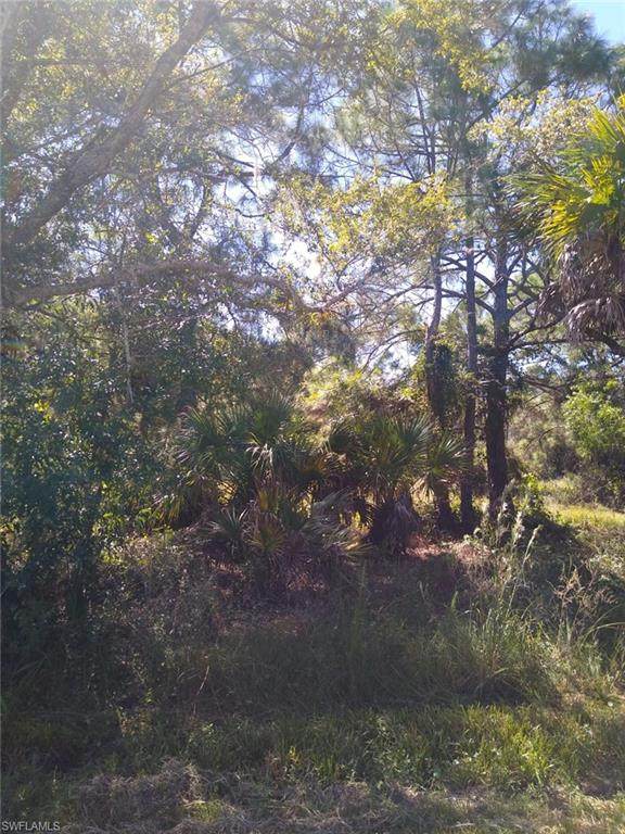 28251 Chinquapin Drive - Photo 1