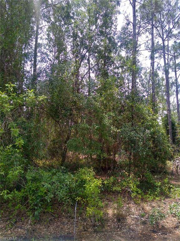 28149 Sunset Drive - Photo 1