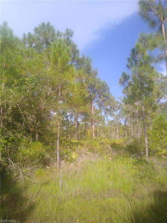 12292 Escuela Drive - Photo 1