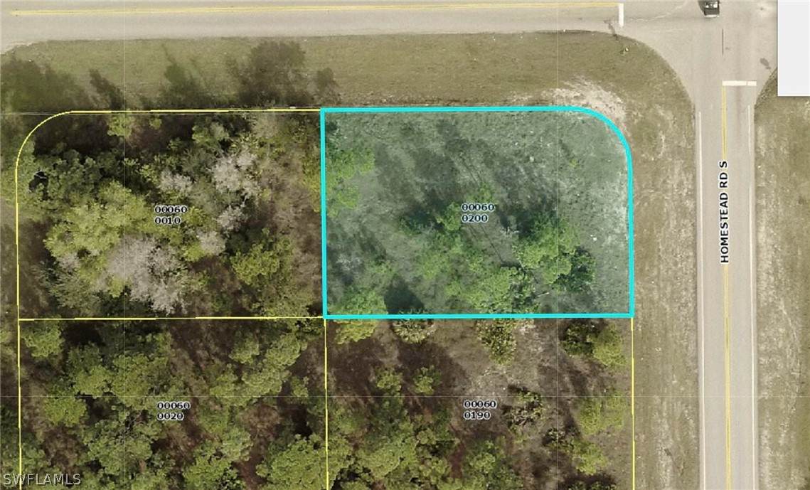 802 Homestead Road - Photo 1
