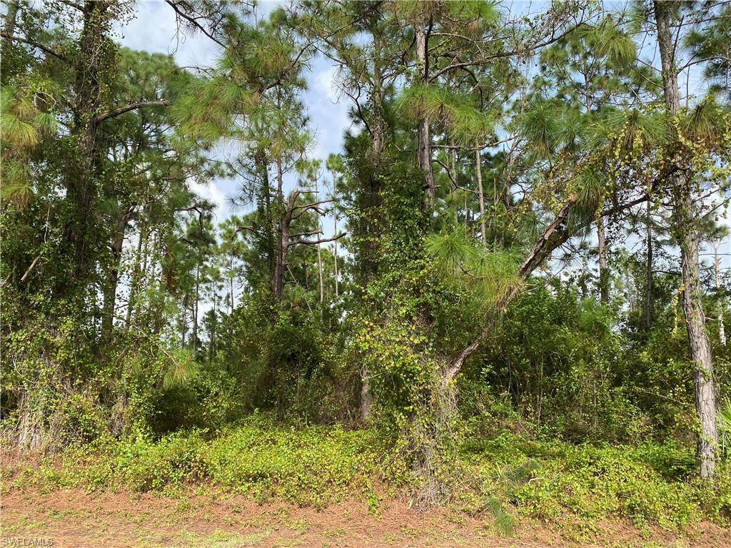926 Fern Street - Photo 1