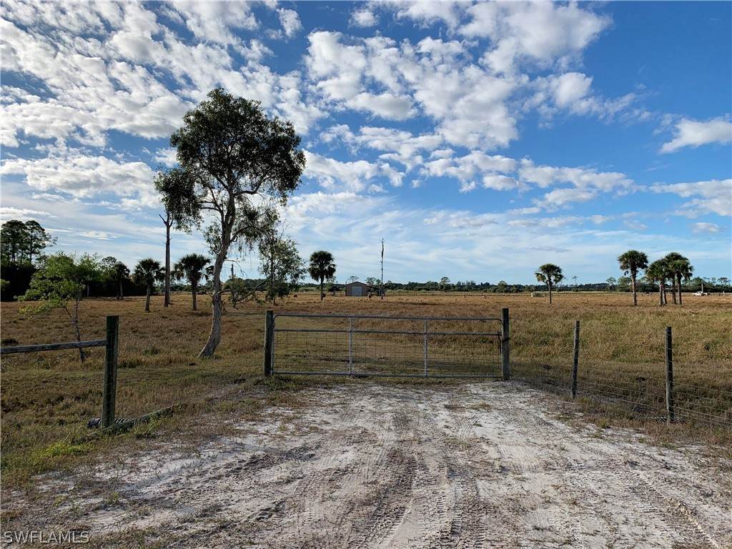 40541 Horseshoe Road - Photo 1