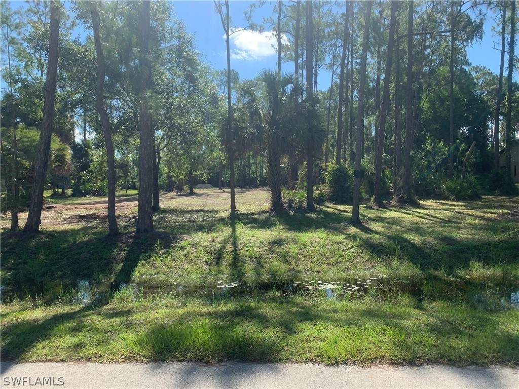 25273 Pinson Drive - Photo 1