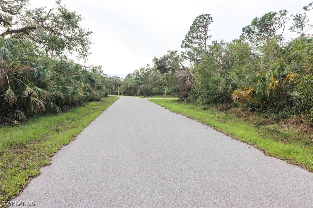 Lot # 5 Balsam Street - Photo 1