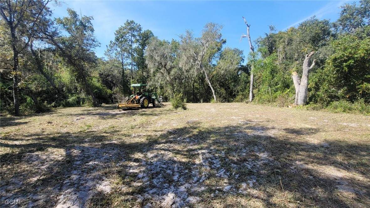 8115 Shasta Street - Photo 1