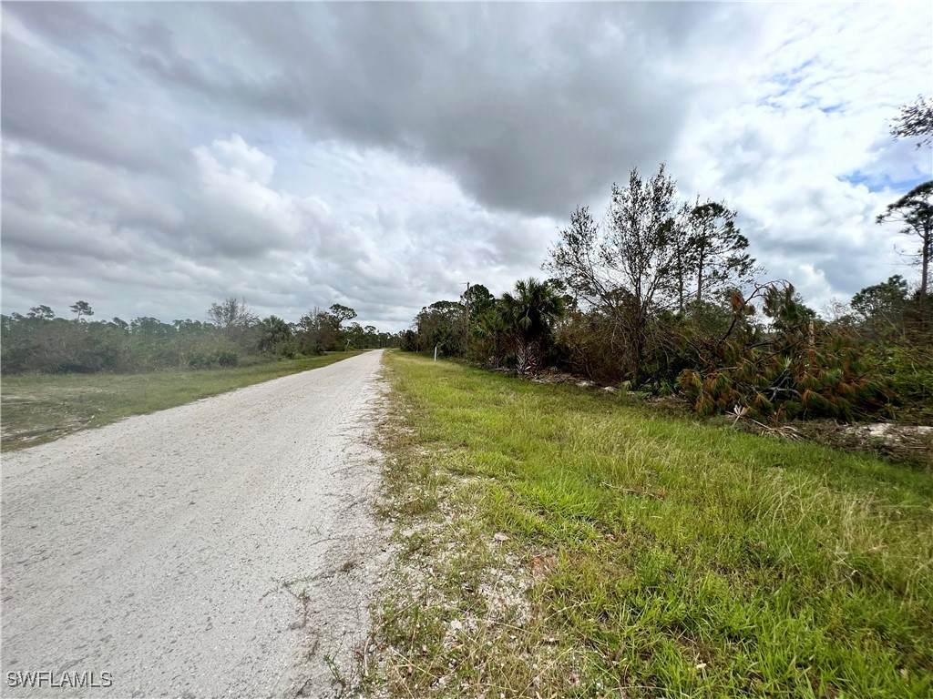 27357 Monte Cristo Boulevard - Photo 1