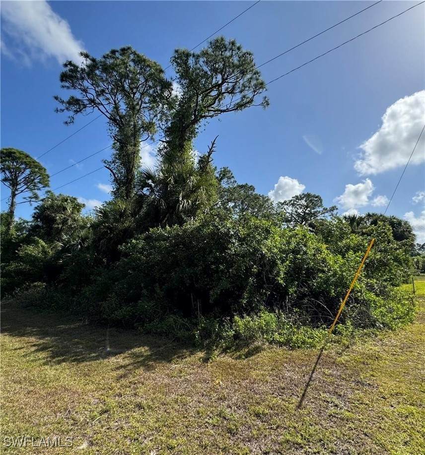 453 Lampion Avenue - Photo 1