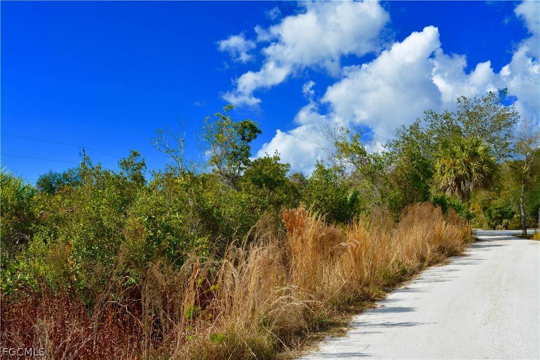 27195 Lowry Avenue - Photo 1