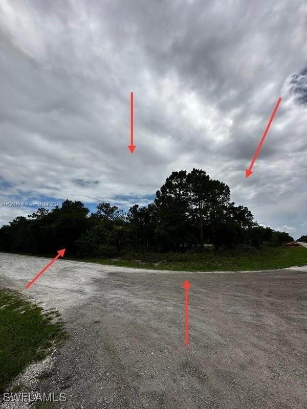 685 Cabbage Palm Street - Photo 1