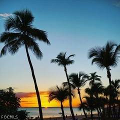 https://bt-photos.global.ssl.fastly.net/flgulf/orig_boomver_3_2026007514-2.jpg