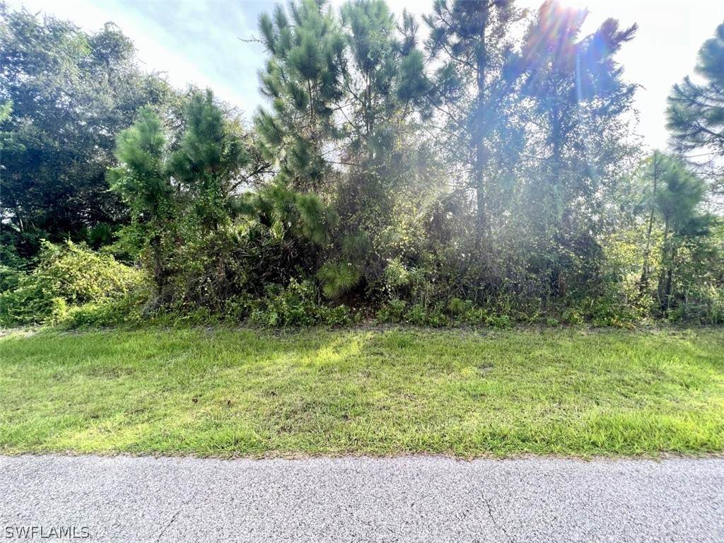 Napoleon Road - Photo 1