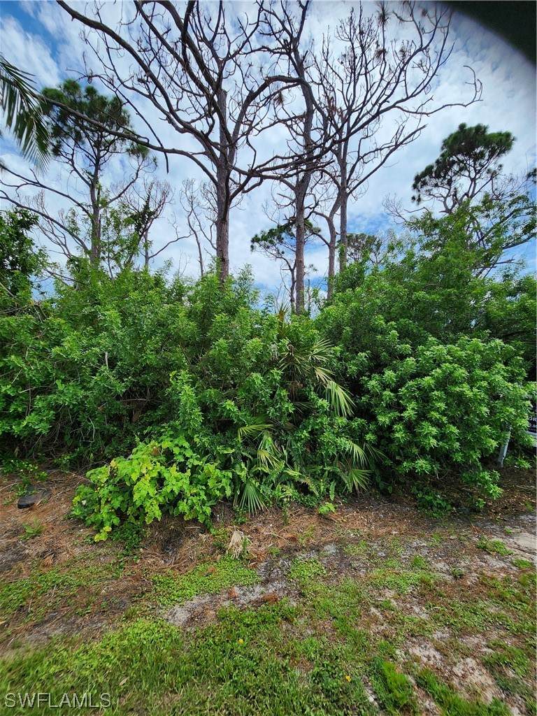 3853 Citrus Street - Photo 1