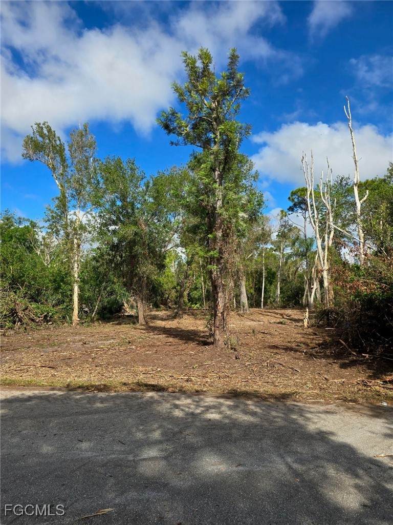27442 Twin Lakes Drive - Photo 1