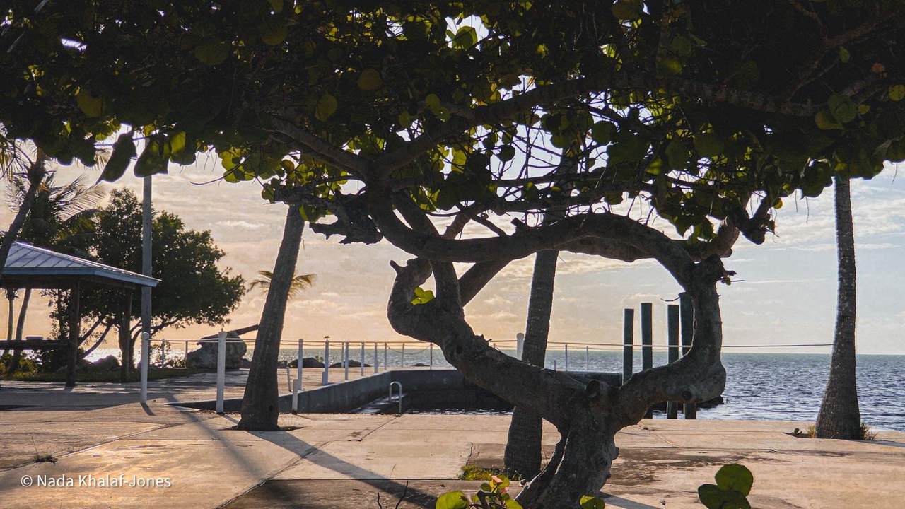 https://bt-photos.global.ssl.fastly.net/flkeys/orig_boomver_1_579482-2.jpg