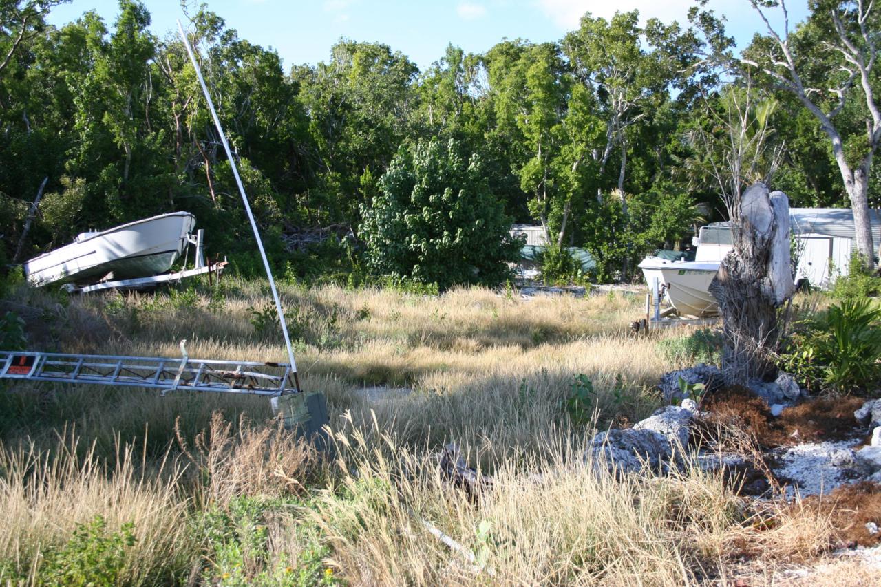 46 Seagate Boulevard - Photo 1