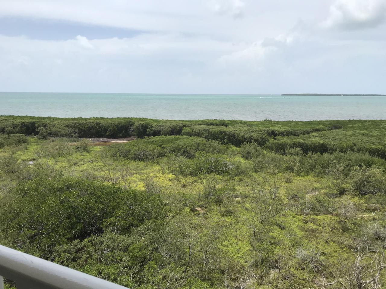 500 Burton Drive - Photo 1