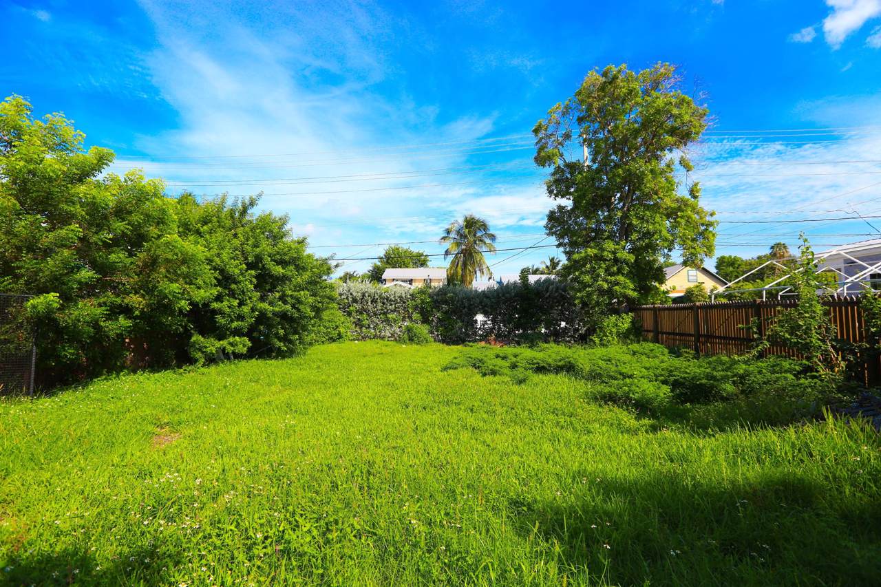 322 Amelia Street - Photo 1