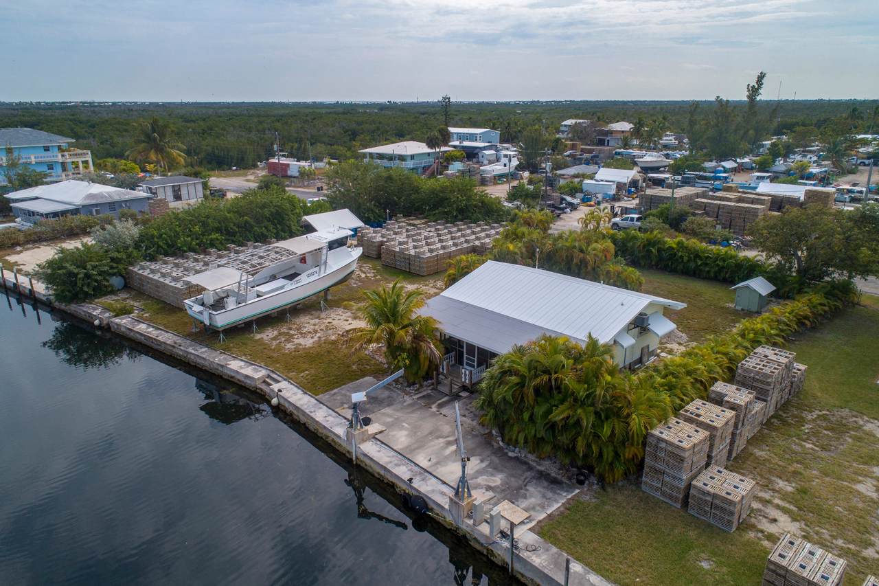 29521 Canal Street - Photo 1